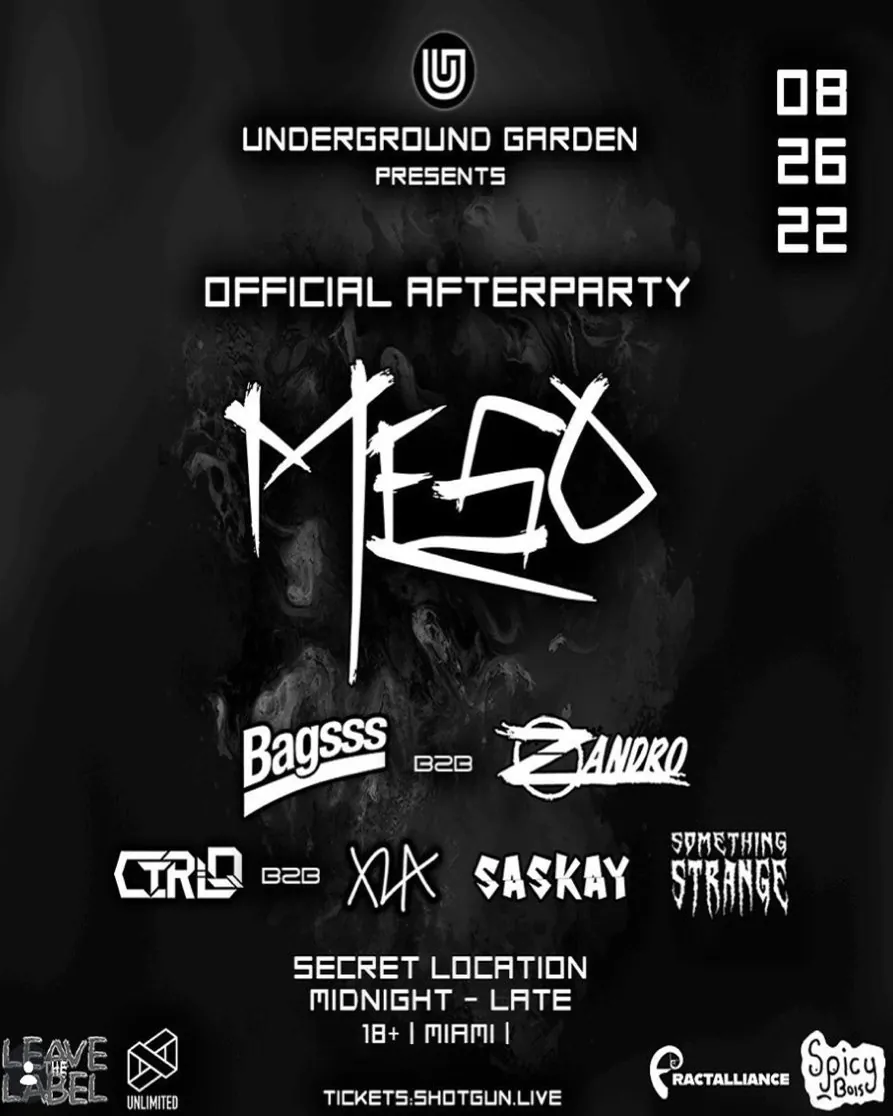 Meso official afterparty flyer with Bagsss, Zandro, Ctrl-Q, XLA